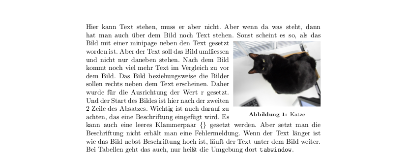 In einen Text Absatz wurd seitlich ein Bild eingefuegt.